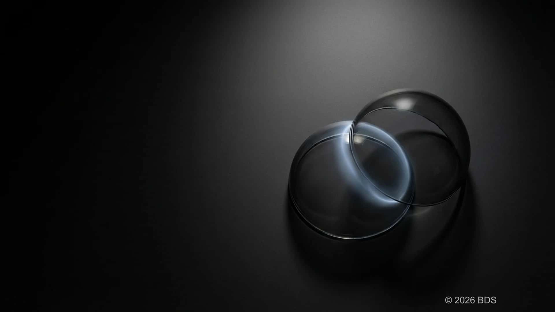 Arquitetura centrada em objetos da blockchain Sui, mostrando processamento paralelo de transações e ambiente de programação Move