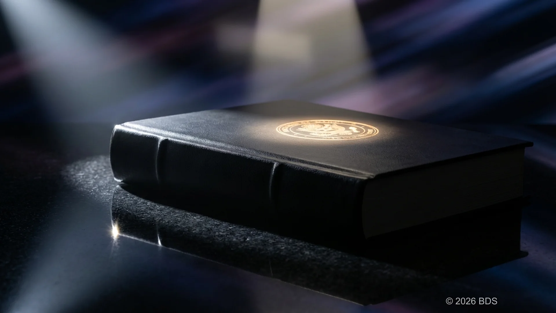 Blockchain intelligence dashboard showing transaction analysis and risk assessment tools