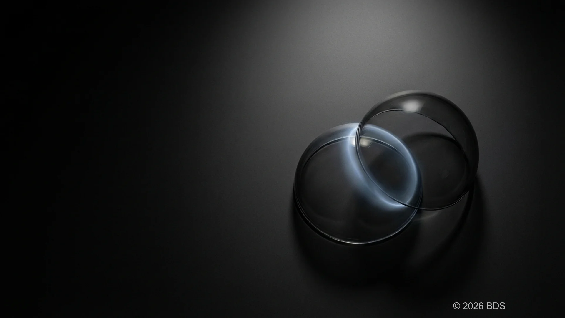 Arquitectura centrada en objetos de la cadena de bloques Sui que muestra el procesamiento paralelo de transacciones y el entorno de programación Move.