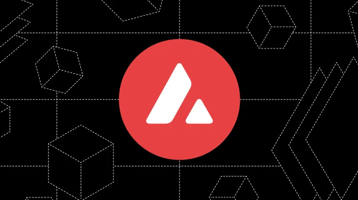 Avalanche blockchain architecture showing interconnected C-Chain, P-Chain, and X-Chain networks with smart contract deployment