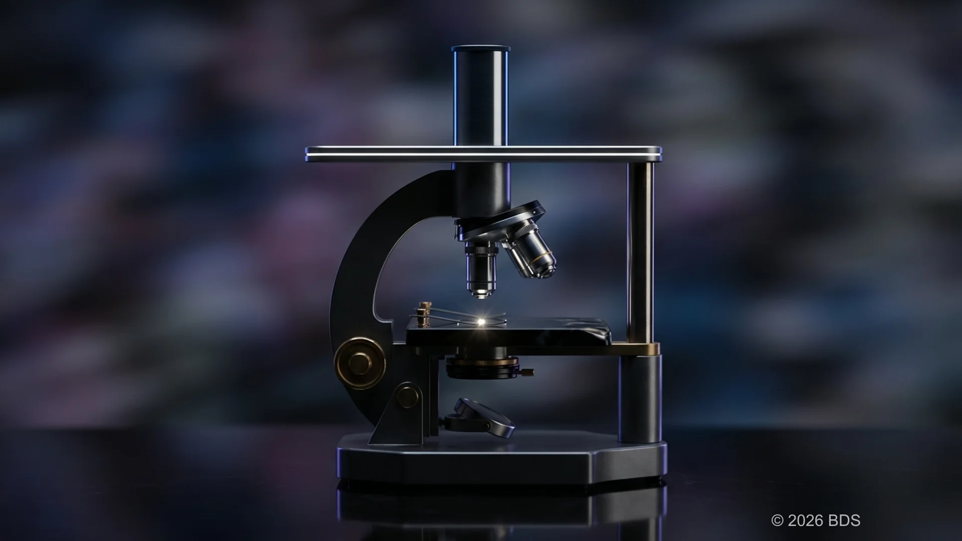 Advanced smart contract testing framework showing fuzzing capabilities and vulnerability detection processes